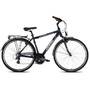 Bicicleta Drag Cruiser Comp 28 dark blue / bronze