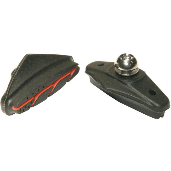 Ashima Saboti cursiera ARS66-H-AL