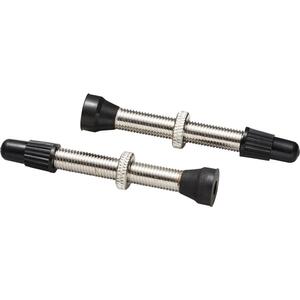 Set Valve Tubeless Argintii