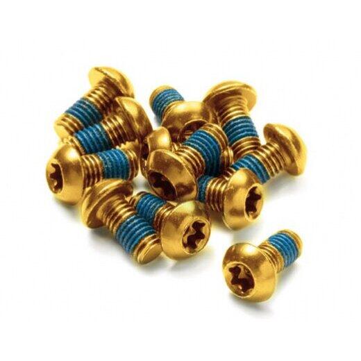 Set 12 suruburi otel Reverse aurii