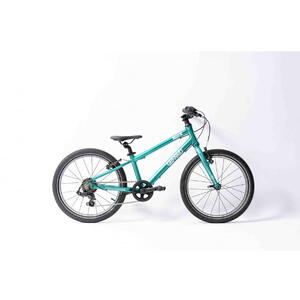 BICICLETA COPII GEPARD ROAR 20 GREEN 20inch