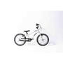Bicicleta BICICLETA COPII GEPARD ROAR 16 RAW ALUMINIUM 16inch